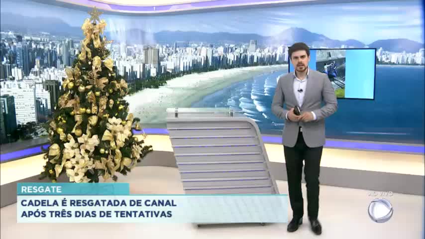 Atos de vandalismo podem custar caro para infratores